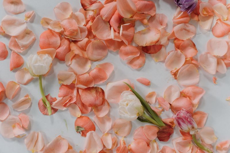 Composition florale romantique avec fleurs roses et blanches