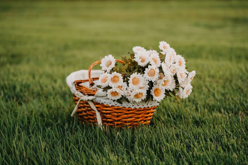 Panier garni de plantes fleuries — arrangement Interflora