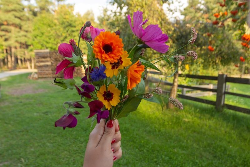Bouquet de fleurs sauvages inter flora — esprit champêtre
